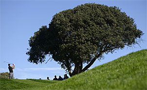 torreypines-rd3